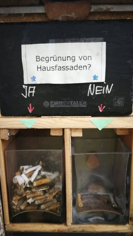 Hausfassaden-Begrünung: JA gewinnt!