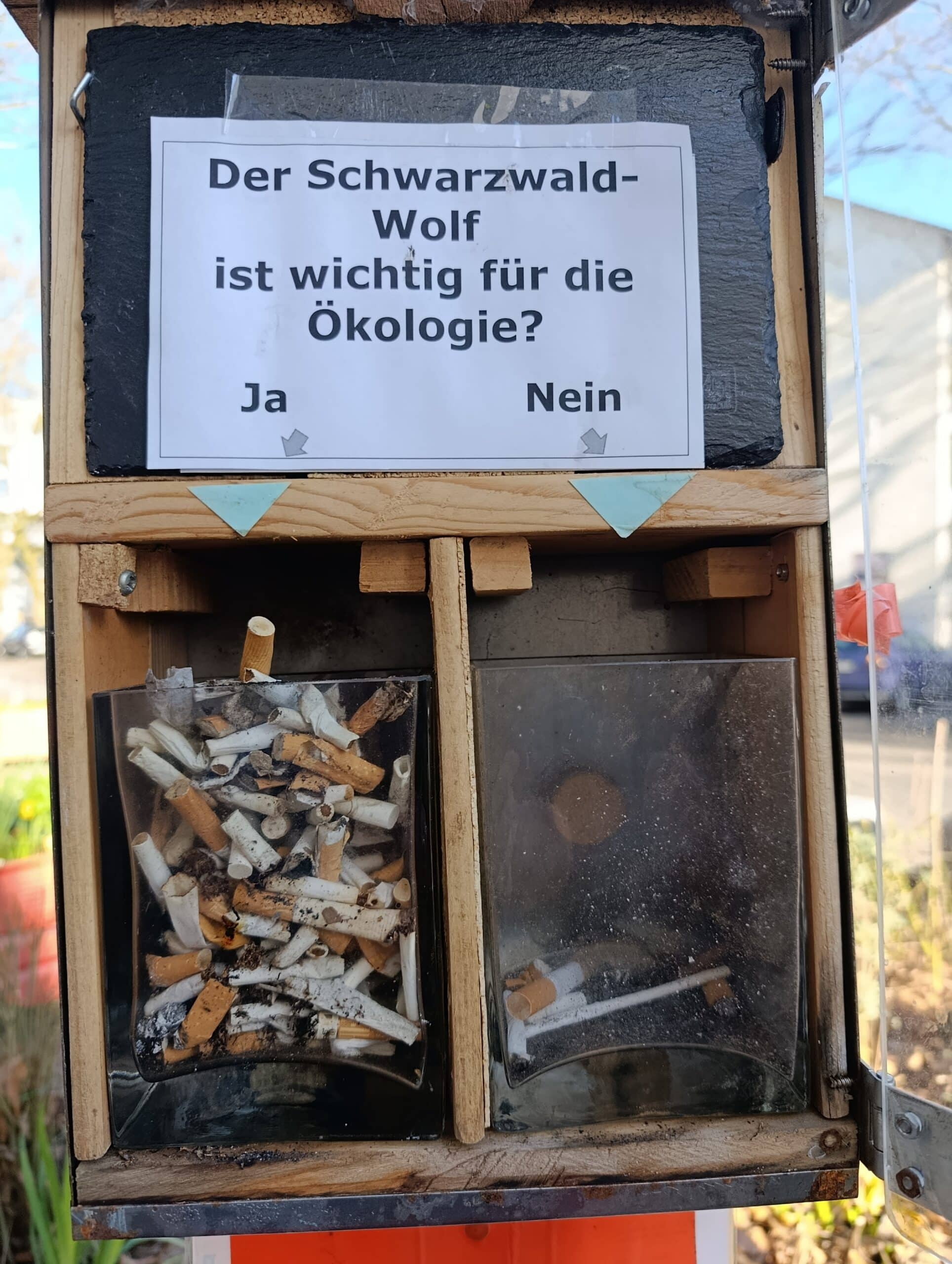 Dieses Foto zeigt immer das Ergebnis der letzten Umfrage!